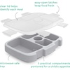 Bentgo Kids Prints Tray with Transparent Cover, 5-Compartment, BPA-Free(Bug Buddies)