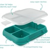 Bentgo Pop Replacement Tray with Cover, 4 Compartments, BPA-Free(Bright Coral/Teal)