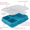 Bentgo Pop Replacement Tray with Cover, 4 Compartments, BPA-Free(Flame Red/Turquoise)