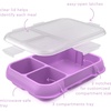 Bentgo Pop Replacement Tray with Cover, 4 Compartments, BPA-Free(Periwinkle/Pink)