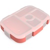 Bentgo Kids Replacement Tray, Transparent Cover, 5-Compartment(Coral)